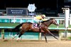 Cannoneer, Maiden Win, Churchill Downs, November 29 2025