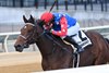 Shilling wins the 2025 Tempted Stakes at Aqueduct Racetrack