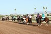 Chuckanut Bay wins the 2025 Hank Mills Jr. Overnight Stakes at Turf Paradise