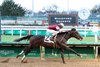 Liberty National, Maiden Win, Churchill Downs, November 29 2025