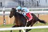 Fast Market wins the 2025 Pebbles Stakes at Aqueduct