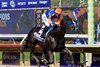 Splendora with Flavien Prat wins the Filly & Mare Sprint (G1) at Del Mar Racetrack in Del Mar, CA on November 1, 2025.