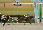 Satono Voyage wins the 2025 Cattleya Stakes at Tokyo Racecourse
ridden by Keita Tosaki, trained by Hiroyasu Tanaka and owned by Hajime Satomi
