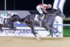 Heart of Honor wins the 2025 Entisar at Meydan Racecourse