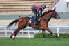 Embroidery - Trackwork - 2025 LONGINES International Jockeys' Championship - 121125