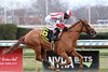 Fully Subscribed wins the Comely Stakes at Aqueduct, December 7, 2025