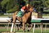 Usha and jockey Juan Hernandez win the Grade I $300,000 La Brea Stakes Sunday, December 28, 2025, opening day of the Santa Anita Park meet.
Benoit Photo