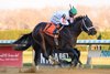 Bishops Bay wins the 2025 Cigar Mile Handicap at Aqueduct Racetrack