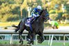 Goal Oriented and jockey Joel Rosario win the Grade I $300,000 Malibu Stakes Sunday, December 28, 2025, opening day of the Santa Anita Park meet.
Benoit Photo