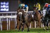 Dark Trooper wins the 2025 HH The President Cup at the Abu Dhabi Turf Club