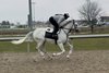 Next trains at Turfway Park with exercise rider Amber Hodyka