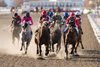 Thoroughbreds race on the final day at Woodbine Racetrack for the 2025 race season. 4th Race turn (L-R) #9 Rapid Grey (Jockey Ryan Munger), #6 Bennys Jets (Jockey Christoff Douglas), #3 Red Pharaoh (Jockey Eswan Flores) round the turn into the home stretch. Woodbine/ Michael Burns Photo