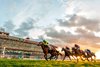 Hear the Queen wins the Pago Hop Stakes at Fair Grounds 12/27/25