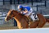 Paladin wins the 2025 Remsen Stakes at Aqueduct Racetrack