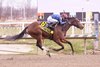 Just Philtored wins the 2025 Maryland Juvenile Filly Stakes at Laurel Park