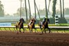 Heavily-favored Litmus Test and jockey Juan Hernandez win the Grade II $200,000 Los Alamitos Futurity Saturday, December 13, 2025 at Los Alamitos Race Course, Cypress, CA, giving trainer Bob Baffert his ninth win in the race. Baffert’s two other starters in the race, Blacksmith and Provenance, finished second and third, respectively, giving the barn a trifecta.
Benoit Photo