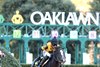 Counting Stars wins the 2025 Astral Spa Overnight Stakes at Oaklawn Park