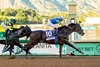 Goal Oriented and jockey Roel Rosario win the Grade I $300,000 Malibu Stakes ISunday, December 28, 2025, opening day of the Santa Anita Park meet.
Benoit Photo