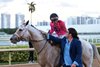 Saffie Joseph Jr. with White Abarrio after the 2026 Pegasus World Cup