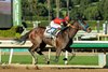 So Happy and jockey Mike Smith win the Grade II $200,000 San Vicente Stakes Saturday, January 10, 2026 at Santa Anita Park, Arcadia, CA. The three-year-old son of Runhappy is owned by Norman Stables and Saints and Sinners and trained by Mark Glatt.
Benoit Photo