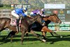 Paradise Lake and jockey Juan Hernandez, middle, outleg, Starry Night (Ricardo Gonzalez), inside, and Watchtower (Mirco Demuro), outside, to win the Grade III, $100,000 Robert J. Frankel Stakes, Thursday, January 8, 2026 at Santa Anita Park, Arcadia Ca.
© BENOIT PHOTO