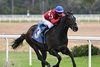 Quatrocento wins the 2026 Tampa Bay Stakes at Tampa Bay Downs