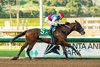 Zedan Racing Stable's Nafisa and jockey Kazushi Kimura easily win the Grade III $100,000 La Canada Stakes Saturday, January 24, 2026 at Santa Anita Park, Arcadia, CA. The five-year daughter of Quality Road is trained by Bob Baffert.
Benoit Photo