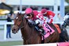 Alpyland wins the 2026 Dania Beach Stakes at Gulfstream Park
