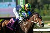 Vodka Vodka and jockey Kent Desormeaux, right, win the $175,000 Unusual Heat Turf Classic, outgaming Stamp My Passport (Diego Herrera), inside, and Hey Jessie (Mike Smith), outside, Saturday January 17, 2026 at Santa Anita Park, Arcadia, CA.
Benoit Photo