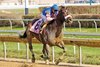 Musket Man took over at the top of the lane and cruised to an impressive two-length victory in the $500,000 Illinois Derby (gr. II) April 4 at Hawthorne Park.