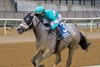 My World wins the 2026 Jerome Stakes at Aqueduct Racetrack