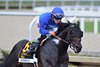 Knightsbridge wins the 2026 Gulfstream Park Mile Stakes at Gulfstream Park