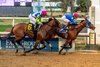 2/14/2026 - Bella Ballerina (right), with Tyler Gaffalione aboard, wins the 4th running of the grade II Rachel Alexendra Stakes at Fair Grounds in New Orleans, LA. Hodges Photography / Lou Hodges, Jr.