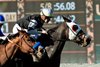 Gratefully and jockey Florent Geroux, right, outleg Saratoga Special (Hector Berrios), left, to win the $100,000 Wishing Well Stakes, Saturday, February 21, 2026 at Santa Anita Park, Arcadia CA.
© BENOIT PHOTO