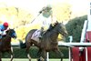 Silent Tactic wins the 2026 Southwest Stakes at Oaklawn Park
