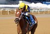 Paradise wins the 2026 Busher Stakes at Aqueduct Racetrack