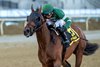 Iron Honor wins the 2026 Gotham Stakes at Aqueduct Racetrack