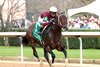 Magnitude wins the 2026 Razorback Handicap at Oaklawn Park