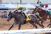 Bottle of Rouge wins the 2026 Sunland Park Oaks at Sunland Park