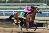 Prom Queen wins the 2026 Gulfstream Park Oaks at Gulfstream Park