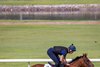 Caballo de Mar, Meydan Racecourse, March 25 2026