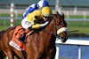 Far Bridge wins the 2026 Pan American Stakes at Gulfstream Park