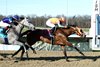 Lorelei Lee wins the 2026 Bourbonette Oaks at Turfway Park