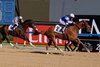 Banishing wins the 2026 Godolphin Mile at Meydan Racecourse
