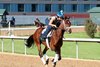 Renegade - Gallop - Oaklawn Park - 032726