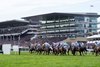 Runners in the County Hurdle won by Wilful (Jonjo O'Neill jr) race towards the 2nd flight
Cheltenham 13.3.26 Pic: Edward Whitaker