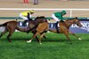 Calandagan wins the 2026 Dubai Sheema Classic at Meydan Racecourse