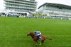 Epsom's Queen Elizabeth II Stand (left) and the Duchess Stand will both receive significant upgrades