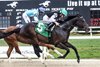 Damon's Mound wins the 2026 NYRABETS Sprint Stakes at Tampa Bay Downs