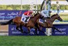 Fairy Glen wins the 2026 Dubai Gold Cup at Meydan Racecourse